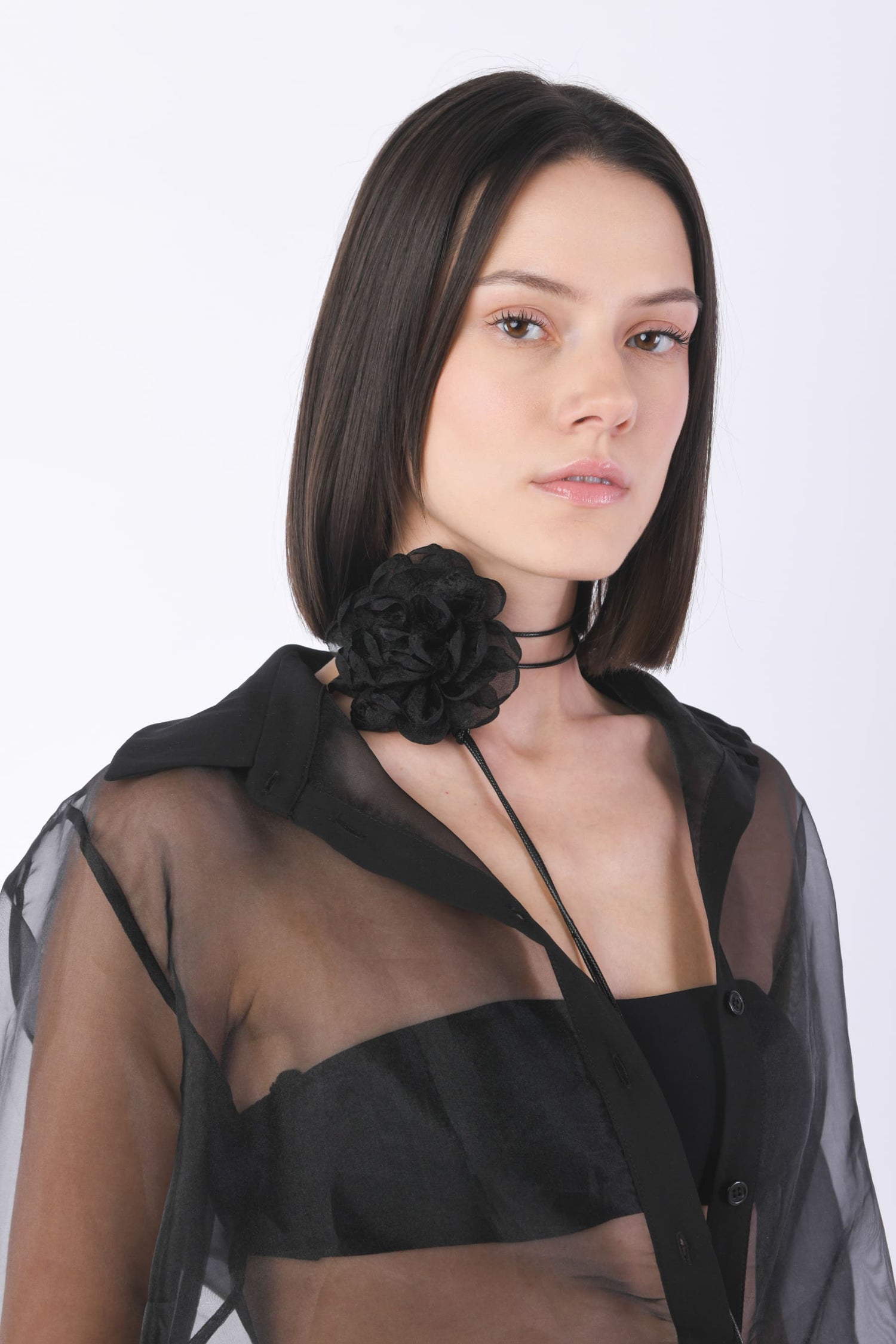 SCC629NE-24_4_4