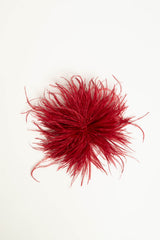Spilla con piume rosse