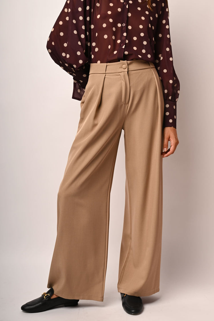 Pantaloni palazzo con pinces